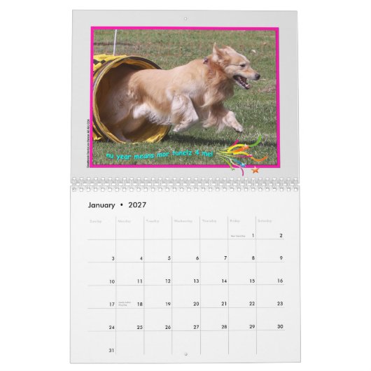Golden Retriever kalender 2015 (Jan 2027)