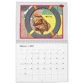 Golden Retriever kalender 2015 (Feb 2027)