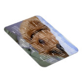 Golden Retriever Kalender 2019 Met Foto Magneet (Rechterzijde)