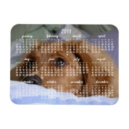 Golden Retriever Kalender 2019 Met Foto Magneet