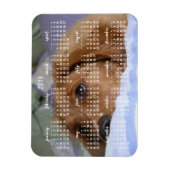 Golden Retriever Kalender 2019 Met Foto Magneet (Verticaal)