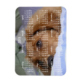 Golden Retriever Kalender 2019 Met Foto Magneet