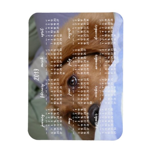 Golden Retriever Kalender 2019 Met Foto Magneet (Verticaal)