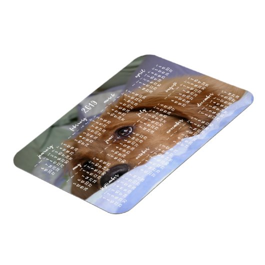 Golden Retriever Kalender 2019 Met Foto Magneet (Linkerzijde)