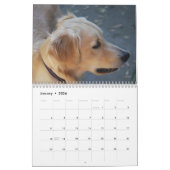 Golden Retriever Kalender 2023 Foto's (Jan 2026)