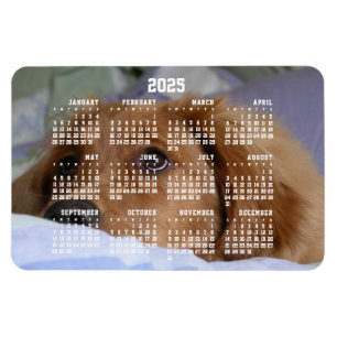 Golden Retriever Kalender 2025 Grote Foto Magneet
