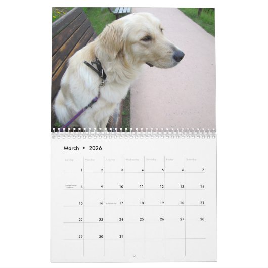 Golden Retriever Kalender 2026 (Mar 2026)