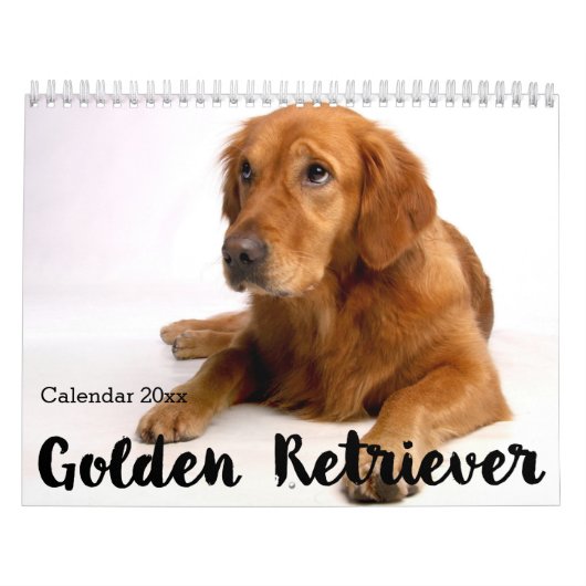 Golden Retriever Kalender 2026 (Hoes)