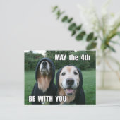 Golden Retriever kan op de vierde plaats zijn bij  Briefkaart (Staand voorkant)