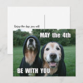 Golden Retriever kan op de vierde plaats zijn bij  Briefkaart (Voorkant / Achterkant)