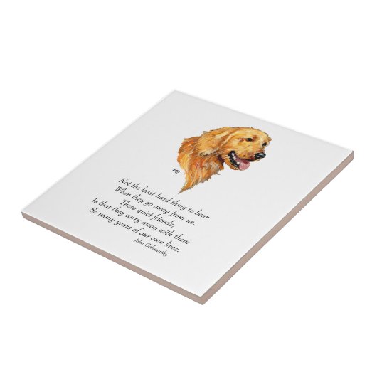 Golden Retriever Keepomwille Tegeltje (Zijkant)