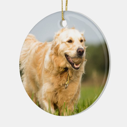 Golden Retriever Keramisch Ornament (Links)