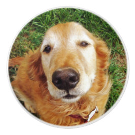 Golden Retriever Keramische Knop