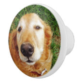 Golden Retriever Keramische Knop (Rechts)