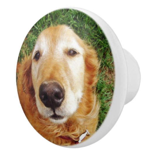 Golden Retriever Keramische Knop (Rechts)