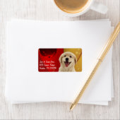Golden Retriever kerstcadeau of Adresetiketten Etiket (Insitu)