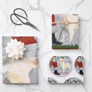 Golden Retriever kerstcadeautjes Inpakpapier Vel