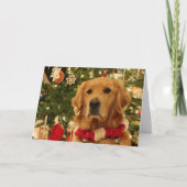 Golden Retriever kerstkaart Feestdagen Kaart (Voorkant)