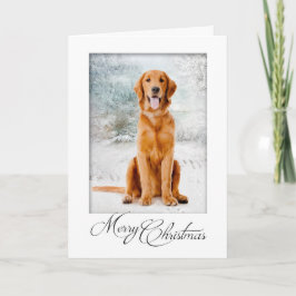 Golden Retriever kerstkaart Kaart
