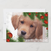 Golden Retriever kerstkaart - Puppy Cute Dog (Voorkant)