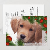 Golden Retriever Kerstmis - Cute Dog Puppy Holiday Kaart (Voorkant / Achterkant)