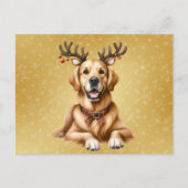 Golden Retriever Kerstmis Feestdagenkaart (Voorkant)