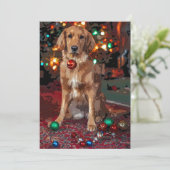 Golden Retriever Kerstmis Kaart (Staand voorkant)