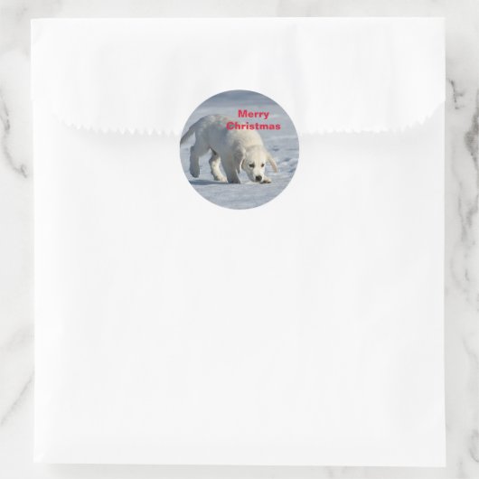 Golden Retriever Kerstmis Ronde Sticker (Tas)