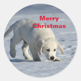 Golden Retriever Kerstmis Ronde Sticker