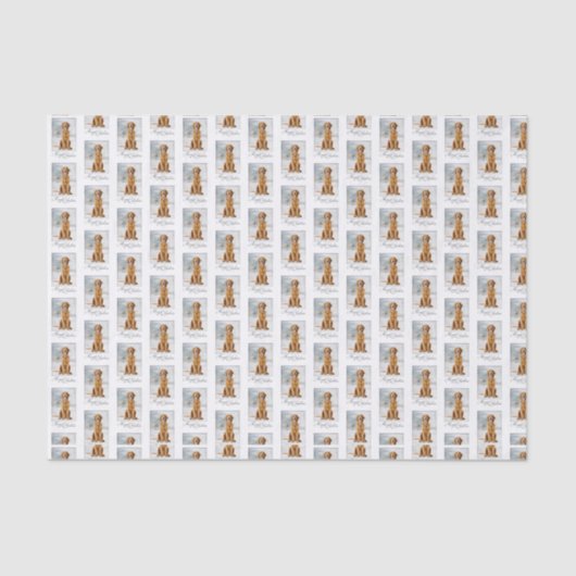 Golden Retriever kerstpapier Tissuepapier (Voorkant)