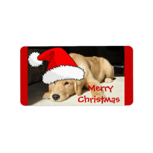 Golden Retriever kerstpuppy Etiket