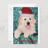 Golden Retriever kerstpuppy Feestdagenkaart (Voorkant / Achterkant)