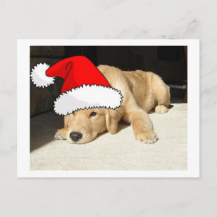 Golden Retriever kerstpuppy Feestdagenkaart
