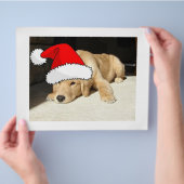 Golden Retriever kerstpuppy Flyer (Hand)