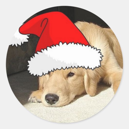 Golden Retriever kerstpuppy Ronde Sticker (Voorkant)