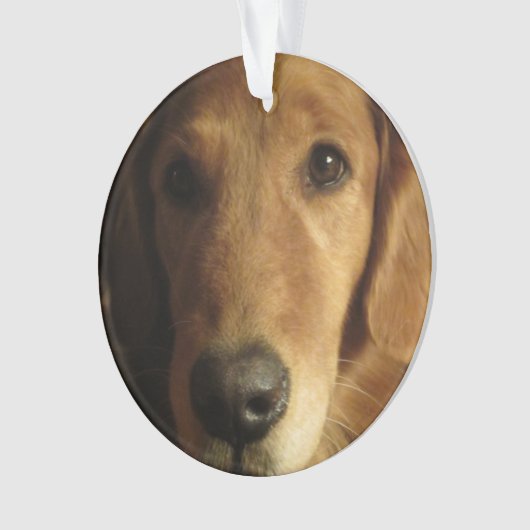Golden Retriever kerstversiering Ornament (voorkant)