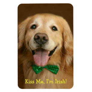 Golden Retriever Kiss me Im Irish St. Patty's Magneet