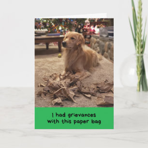 Golden Retriever Klaagt Zijn Grieven Aan Tijdens D Kaart