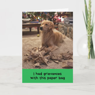 Golden Retriever Klaagt Zijn Grieven Aan Tijdens F Kaart