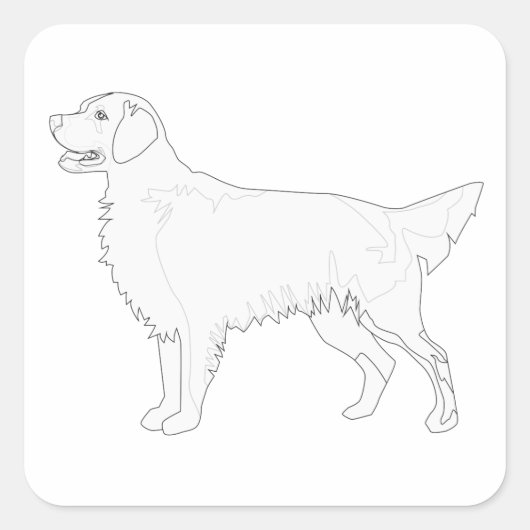 Golden Retriever klaar voor kleurenontwerp Vierkante Sticker (Voorkant)