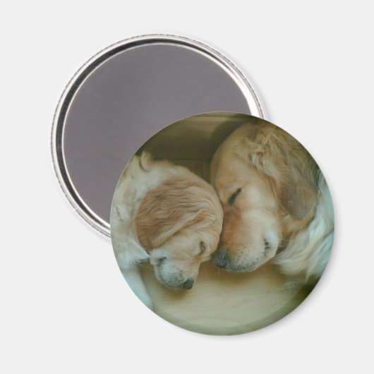 Golden Retriever Koelkast Magnet (Voorkant / Achterkant)