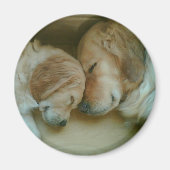 Golden Retriever Koelkast Magnet (Voorkant)
