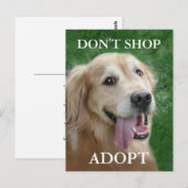 Golden Retriever koopt geen redding Briefkaart (Voorkant / Achterkant)