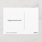 Golden Retriever koopt geen redding Briefkaart (Achterkant)