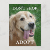 Golden Retriever koopt geen redding Briefkaart (Voorkant)