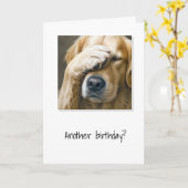 Golden Retriever krijgt oudere Humor Kaart (Gele Bloem)