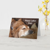 Golden Retriever Labour Day Kaart (Gele Bloem)
