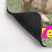 Golden Retriever leeft met Joy Muismat (Hoek)