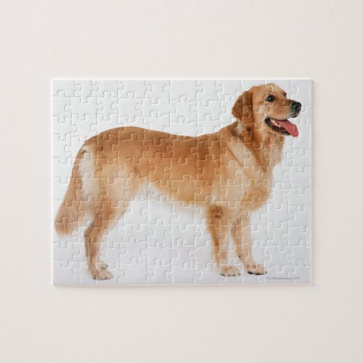 Golden Retriever Legpuzzel (Horizontaal)