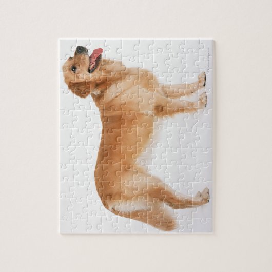 Golden Retriever Legpuzzel (Verticaal)